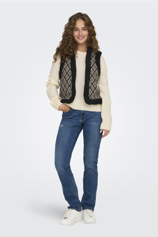 ONLJESSIE AZTEC TEDDY WAISTCOAT CS 15323165 Black/AZTEC ECRU